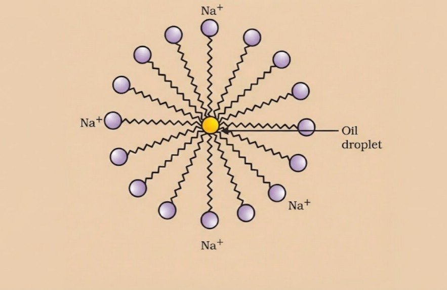 2025-31-2-Solution22